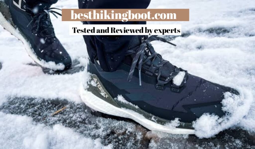 Adidas Terrex Free Hiker 2.0