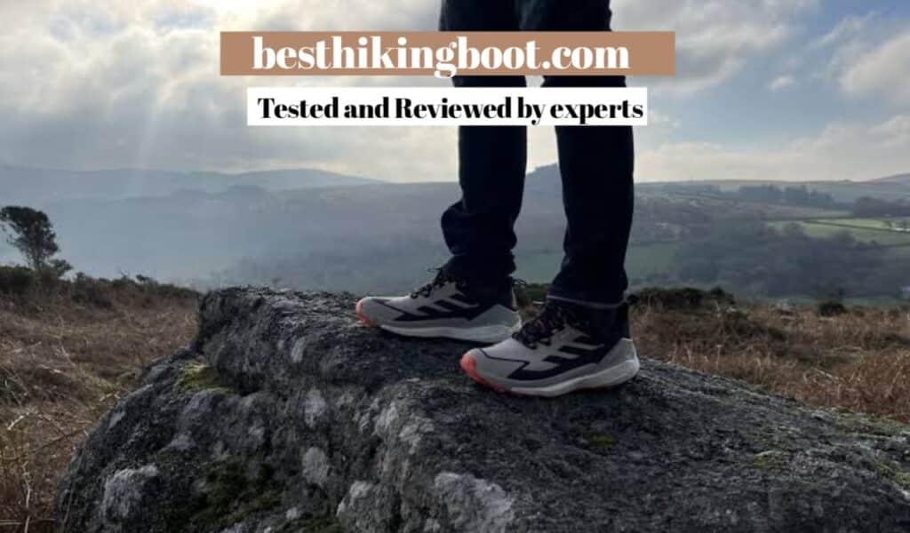 Adidas Terrex Free Hiker 2.0