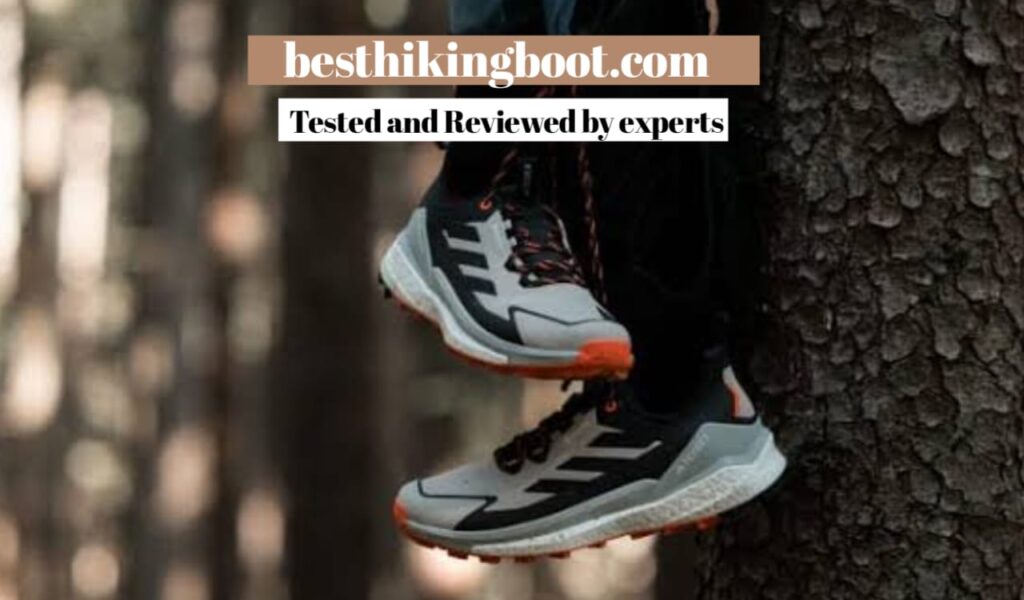 Adidas Terrex Free Hiker 2.0