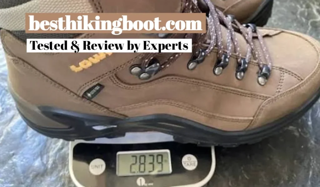 Lowa Renegade GTX Mid