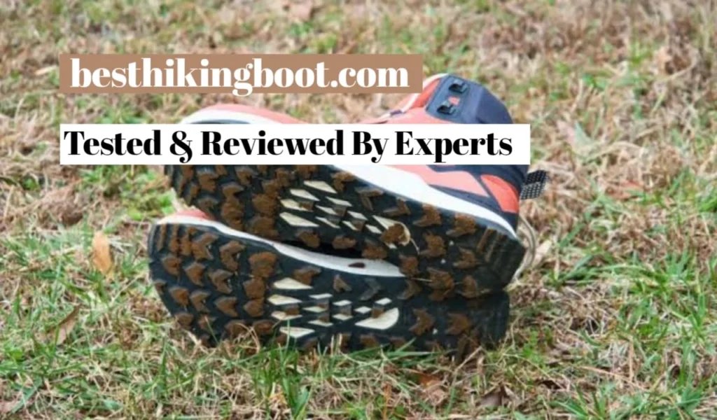 ALTRA Lone Peak All-WTHR Mid 2